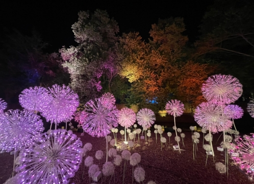 イルミネーション